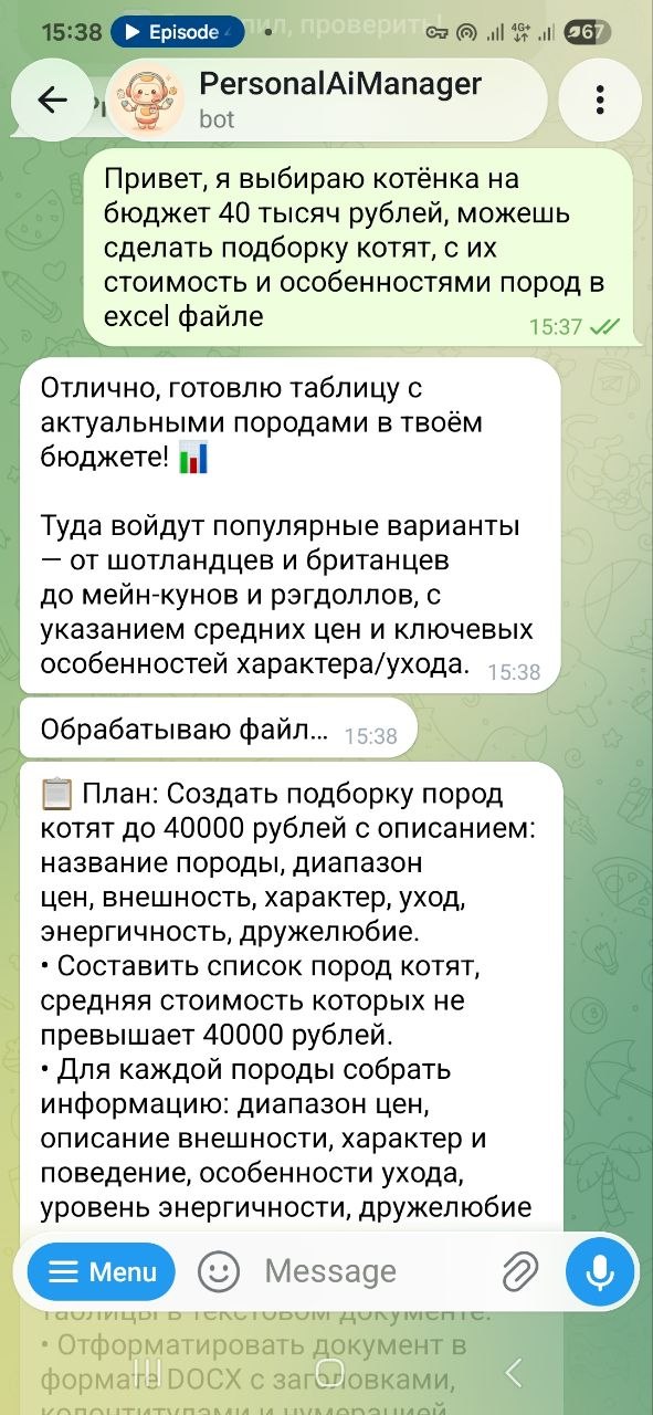 Чат с PersonalAiManagerBot: запрос сделать подборку пород котят в Excel