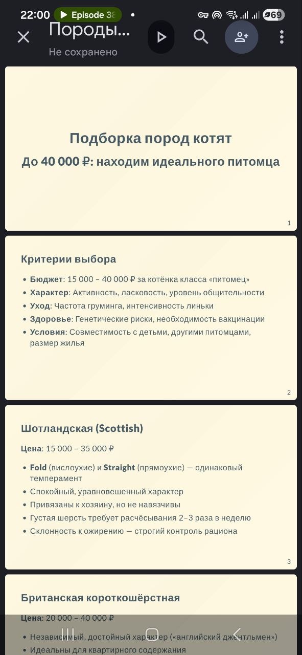 Готовая презентация: слайды с подборкой пород котят