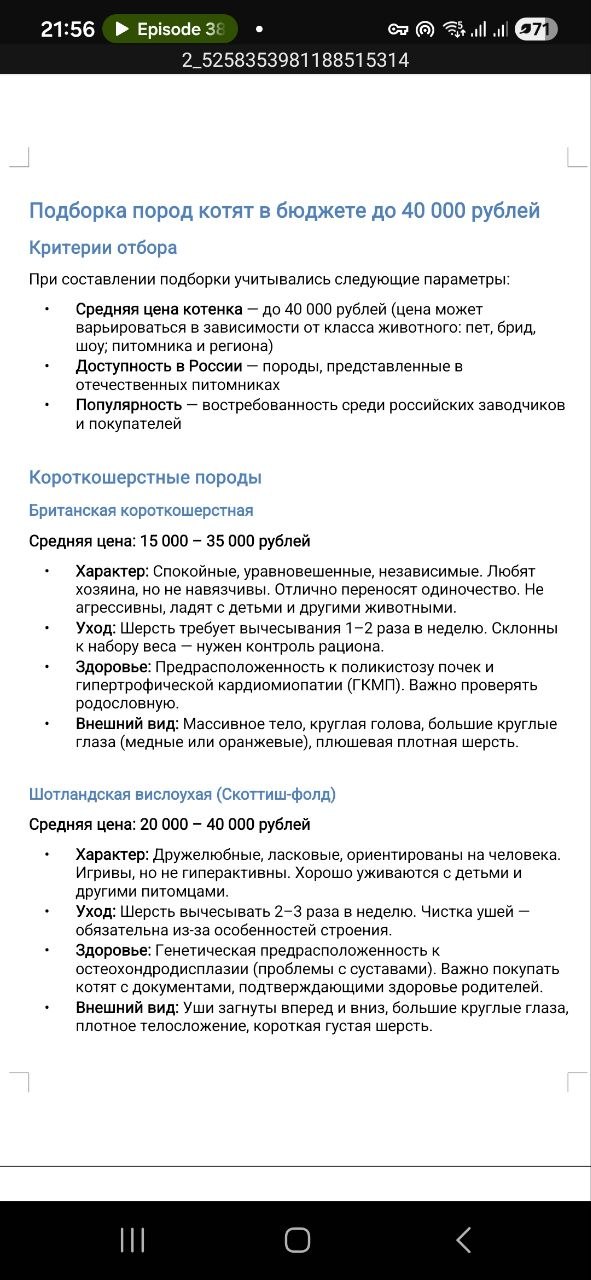 Готовый Word-документ: подборка пород котят с ценами и описанием